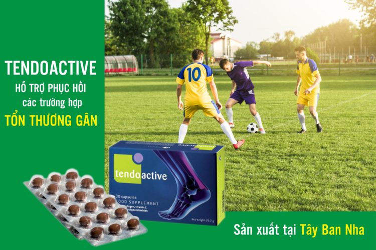 tendoactive.vn